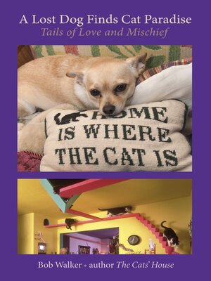cover image of A Lost Dog Finds Cat Paradise
